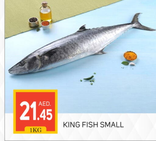 King Fish  in سوق طلال in الإمارات العربية المتحدة , الامارات - دبي