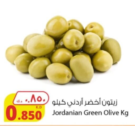  Extra Virgin Olive Oil  in شركة المنتجات الزراعية الغذائية in الكويت - محافظة الجهراء