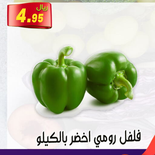  Chilli / Capsicum  in Jawharat Almajd in KSA, Saudi Arabia, Saudi - Abha