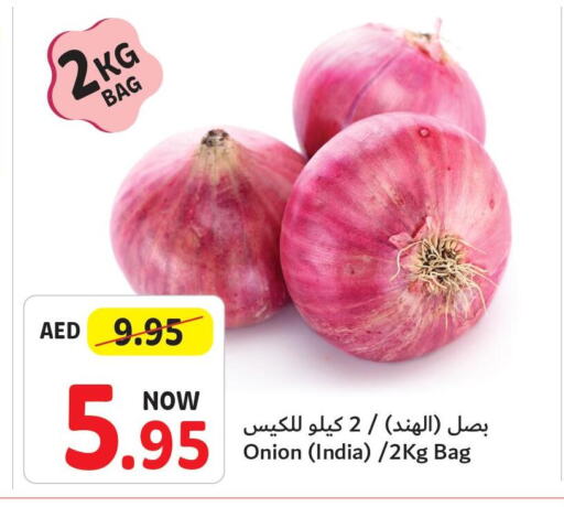  Onion  in Umm Al Quwain Coop in UAE - Umm al Quwain