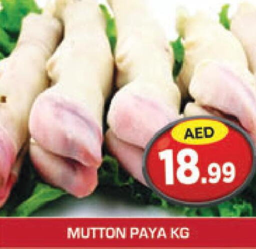  Mutton / Lamb  in Baniyas Spike  in UAE - Al Ain