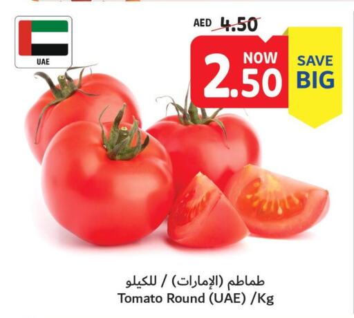  Tomato  in Umm Al Quwain Coop in UAE - Umm al Quwain