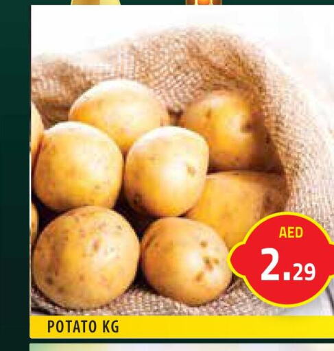  Potato  in سنابل بني ياس in الإمارات العربية المتحدة , الامارات - رَأْس ٱلْخَيْمَة