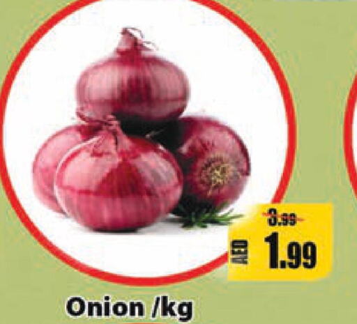  Onion  in ليبتس هايبرماركت in الإمارات العربية المتحدة , الامارات - رَأْس ٱلْخَيْمَة