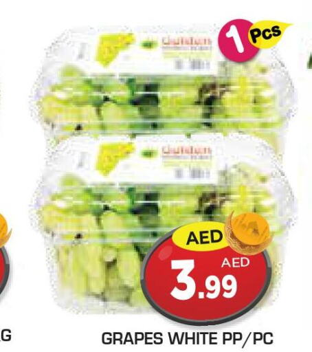  Grapes  in سنابل بني ياس in الإمارات العربية المتحدة , الامارات - أم القيوين‎