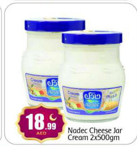 NADEC Cream Cheese  in بيج مارت in الإمارات العربية المتحدة , الامارات - أبو ظبي