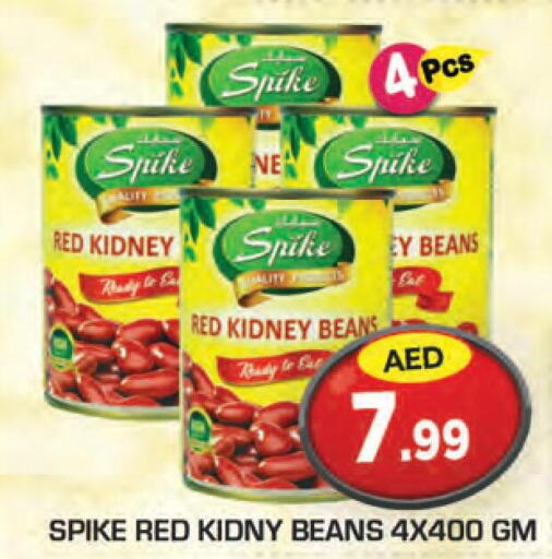  Tuna - Canned  in Baniyas Spike  in UAE - Abu Dhabi