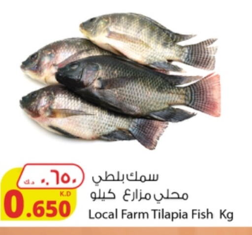 in شركة المنتجات الزراعية الغذائية in الكويت - محافظة الأحمدي