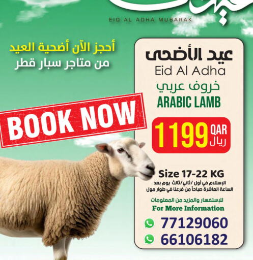  Mutton / Lamb  in ســبــار in قطر - الدوحة