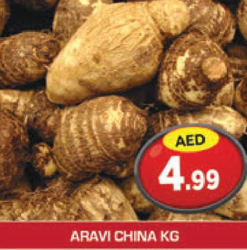  Mushroom  in سنابل بني ياس in الإمارات العربية المتحدة , الامارات - ٱلْعَيْن‎