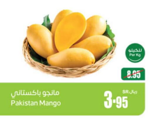 Mango Mango  in Othaim Markets in KSA, Saudi Arabia, Saudi - Bishah