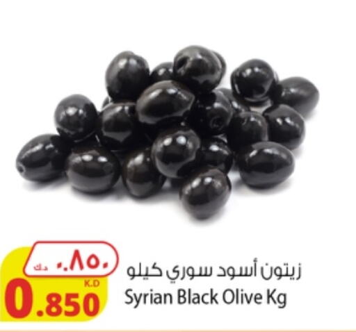  Olive Oil  in شركة المنتجات الزراعية الغذائية in الكويت - محافظة الجهراء