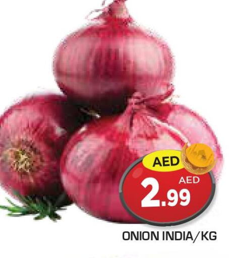  Onion  in سنابل بني ياس in الإمارات العربية المتحدة , الامارات - أم القيوين‎
