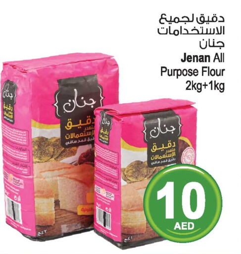JENAN All Purpose Flour  in أنصار جاليري in الإمارات العربية المتحدة , الامارات - دبي
