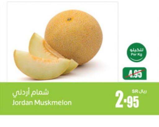  Sweet melon  in Othaim Markets in KSA, Saudi Arabia, Saudi - Al Majmaah