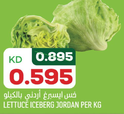  Cauliflower  in Oncost in Kuwait