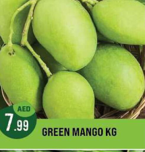 Mango Mango  in أزهر المدينة هايبرماركت in الإمارات العربية المتحدة , الامارات - أبو ظبي