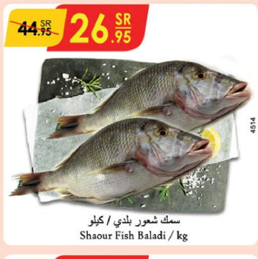  King Fish  in الدانوب in مملكة العربية السعودية, السعودية, سعودية - الخبر‎