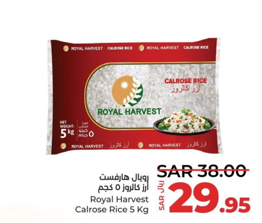  Egyptian / Calrose Rice  in LULU Hypermarket in KSA, Saudi Arabia, Saudi - Dammam