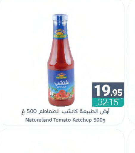  Tomato Ketchup  in Muntazah Markets in KSA, Saudi Arabia, Saudi - Saihat