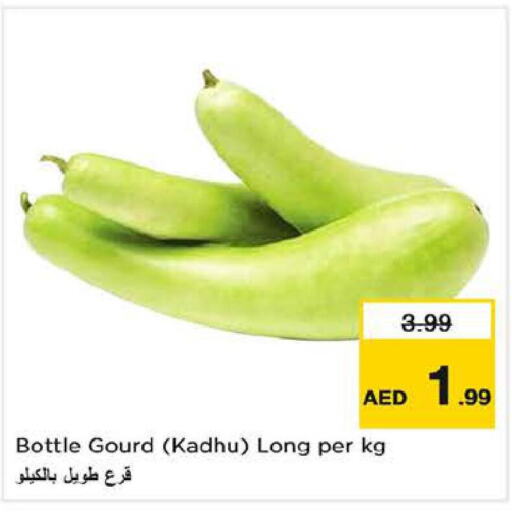  Zucchini  in Last Chance  in UAE - Fujairah