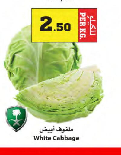  Cabbage  in Star Markets in KSA, Saudi Arabia, Saudi - Yanbu