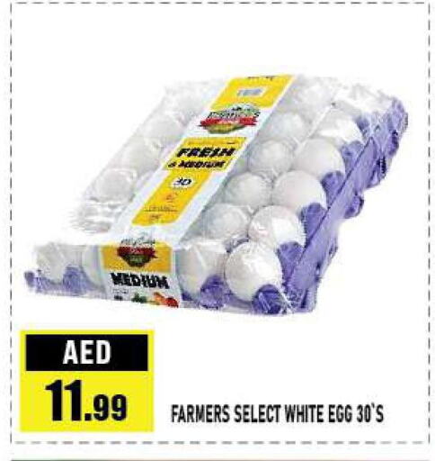 FARM FRESH   in Azhar Al Madina Hypermarket in UAE - Abu Dhabi