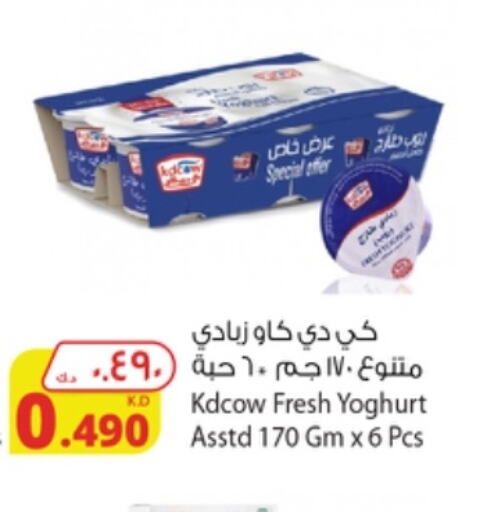 KD COW Yoghurt  in شركة المنتجات الزراعية الغذائية in الكويت - محافظة الجهراء