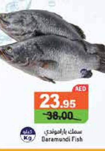  King Fish  in Aswaq Ramez in UAE - Abu Dhabi