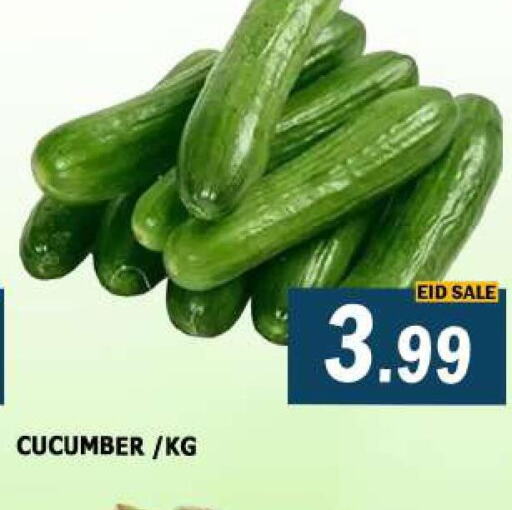  Cucumber  in أزهر المدينة هايبرماركت in الإمارات العربية المتحدة , الامارات - الشارقة / عجمان