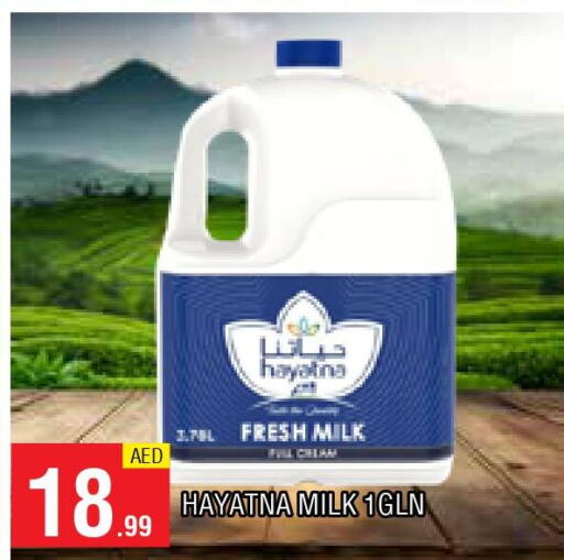HAYATNA Fresh Milk  in AL MADINA in UAE - Sharjah / Ajman