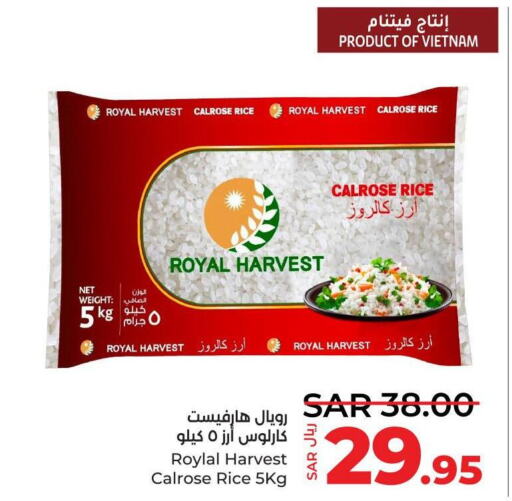  Egyptian / Calrose Rice  in لولو هايبرماركت in مملكة العربية السعودية, السعودية, سعودية - تبوك