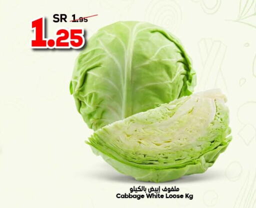  Cabbage  in Dukan in Saudi Arabia