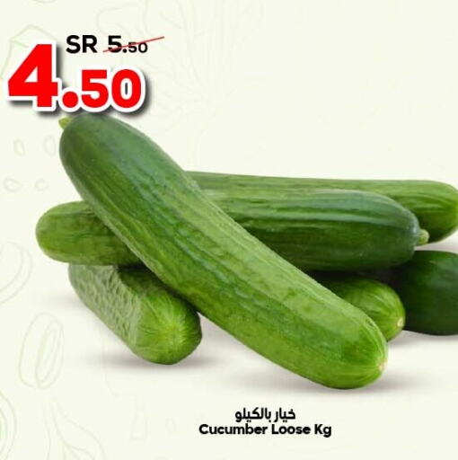  Cucumber  in Dukan in KSA, Saudi Arabia, Saudi - Jeddah