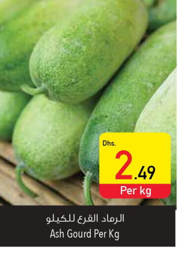  Gourd  in Safeer Hyper Markets in UAE - Fujairah