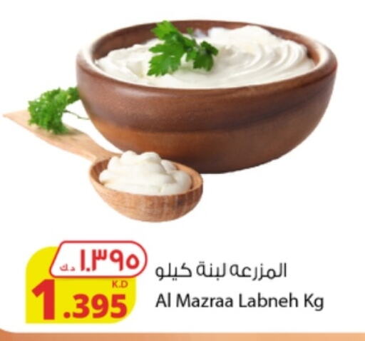  Labneh  in شركة المنتجات الزراعية الغذائية in الكويت - مدينة الكويت