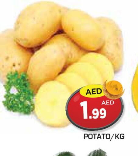  Potato  in سنابل بني ياس in الإمارات العربية المتحدة , الامارات - رَأْس ٱلْخَيْمَة