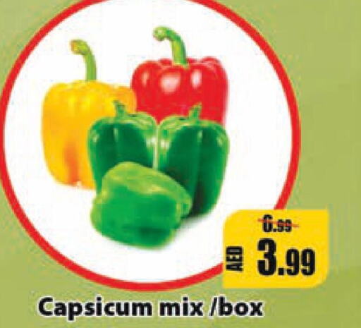  Chilli / Capsicum  in ليبتس هايبرماركت in الإمارات العربية المتحدة , الامارات - رَأْس ٱلْخَيْمَة