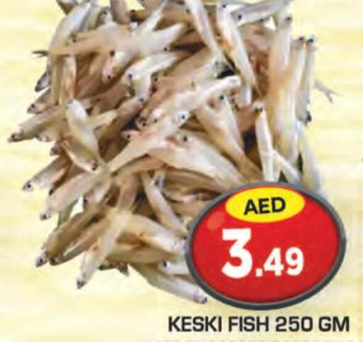  King Fish  in Baniyas Spike  in UAE - Abu Dhabi