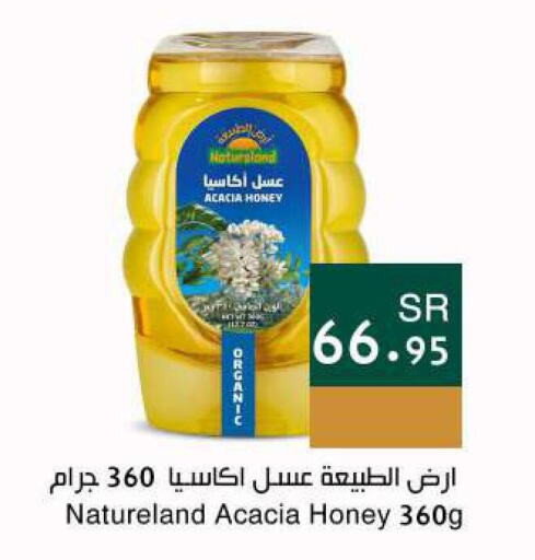  Honey  in Hala Markets in KSA, Saudi Arabia, Saudi - Dammam