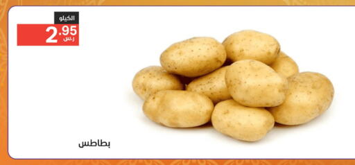  Potato  in نوري سوبر ماركت‎ in مملكة العربية السعودية, السعودية, سعودية - مكة المكرمة