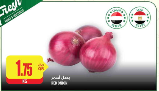  Onion  in شركة الميرة للمواد الاستهلاكية in قطر - الخور