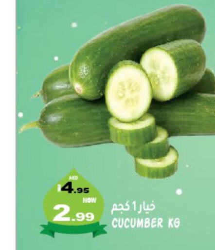  Cucumber  in هاشم هايبرماركت in الإمارات العربية المتحدة , الامارات - الشارقة / عجمان
