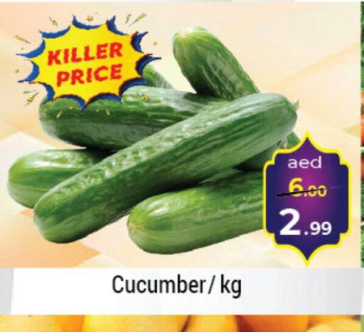  Cucumber  in سوق المبارك هايبرماركت in الإمارات العربية المتحدة , الامارات - الشارقة / عجمان