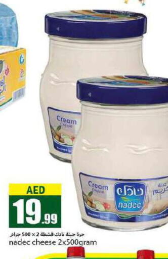 NADEC Cream Cheese  in Rawabi Market Ajman in UAE - Sharjah / Ajman