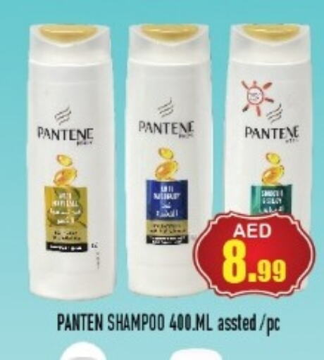 PANTENE Shampoo / Conditioner  in سنابل بني ياس in الإمارات العربية المتحدة , الامارات - أم القيوين‎