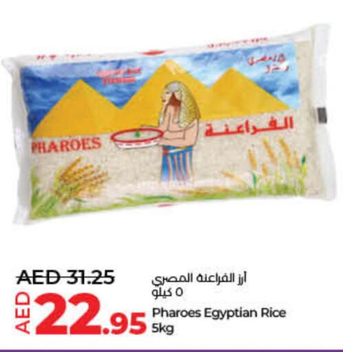  Egyptian / Calrose Rice  in لولو هايبرماركت in الإمارات العربية المتحدة , الامارات - أم القيوين‎