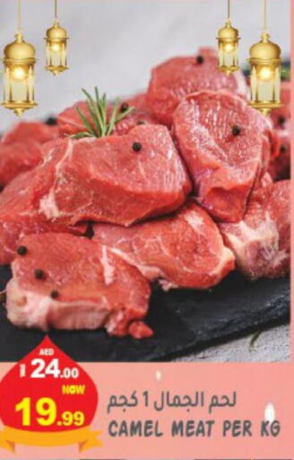  Camel meat  in هاشم هايبرماركت in الإمارات العربية المتحدة , الامارات - الشارقة / عجمان