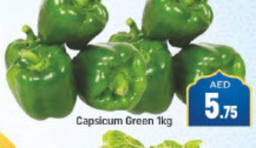  Chilli / Capsicum  in مانجو هايبرماركت in الإمارات العربية المتحدة , الامارات - دبي