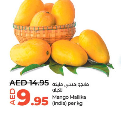 Mango Mango  in لولو هايبرماركت in الإمارات العربية المتحدة , الامارات - أبو ظبي